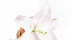 Перфектният педикюр може да се постигне и у дома