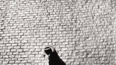 Най-голямата лъжа, изричана от ВСИЧКИ