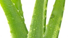 Маска за лице с алое вера