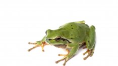 Сигурните признаци, че сте непривлекателни за хората