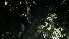 Как да имате стегнат корем като на Чарлийз Терон