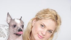 Задръж децата, дай ми кучето