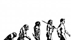 Какви здравни проблеми предизвиква еволюцията