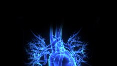 Спасете сърцето си с 5 прости правила