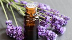 7 ползи на лавандуловото масло