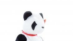 Най-странните фетиши, за които не сте чували