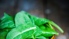 Храни, предотвратяващи загубата на коса