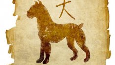 Хороскоп за 2018-а по годината на раждане