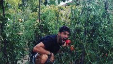 Гришо разклати червените домати