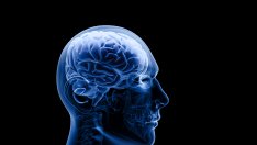 Странните неща, които убиват паметта ви