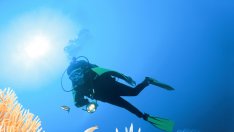 Подводното гмуркане – супер начин да тренирате тялото си