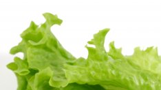 Стратегии за по-бързо изгаряне на мазнини