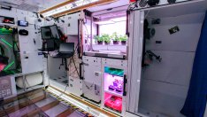 НАСА дава 18 500 долара. Изискването – да спите 2 месеца