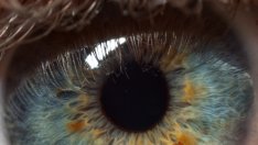 Зениците се влияят и от въображението