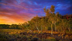 Австралия – такава, каквато не сте я виждали