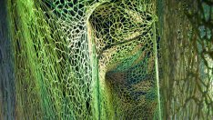 Нестандартна идея от Nike