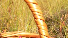 Червените боровинки - най-добрият приятел на жените