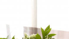 Безвредни ли са боите за яйца