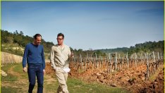 Знаменитости, които превърнаха страстите си в бизнес