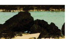 И Бар Рафаели се заигра гола с камерата