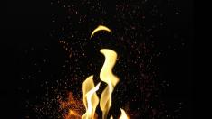 Лютата храна причинява загуба на памет