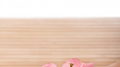 За твоите по-нежни ръце