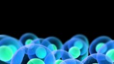 Фантастично! Учени обърнаха процеса на стареене