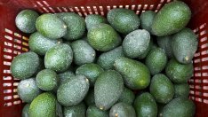 3 висококалорични храни, които помагат да отслабнем