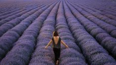 Билките, подходящи за всяка зодия (1 част)