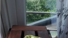 Кокосови сладки без захар и брашно