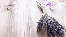 Съставки за перфектна вана