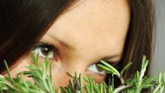 Ароматът на розмарин подобрява интелекта