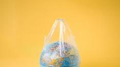 В помощ на околната среда: Път от пластмаса