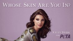 И Кели Брук по-добре по кожа, отколкото в козина, но змийска