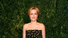 Как да имате ръце като на Джилиан Андерсън