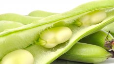 Заменете кофеина с бакла