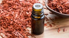 Сандалово дърво – кои са предимствата му за кожата?