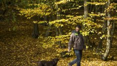 Мъжка хитрост: На „лов“ за жени с куче