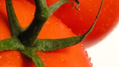 Домати за здраве и сила