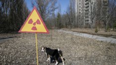 Дрон показа как изглежда Чернобил след трагедията