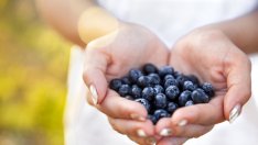 Боровинките предпазват от сърдечни болести