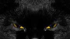 Най-странните суеверия