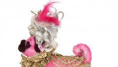 Стилен мопс в кампания на Уницеф