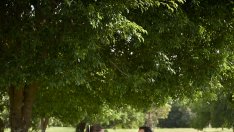 Как усещането за щастие се променя с възрастта