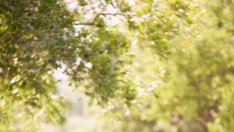 Защо си струва да се срещате с приятел