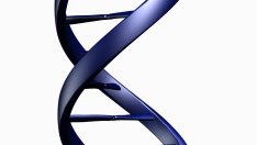 Скоро ще се раждат бебета с трима родители