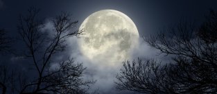 Пълнолуние през ноември: Какво означава тази суперлуна за вашия зодиакален знак