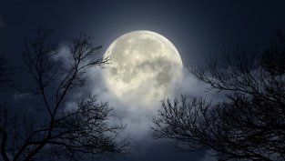 Пълнолуние през ноември: Какво означава тази суперлуна за вашия зодиакален знак