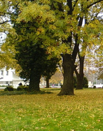 Снимка: Tialoto.bg