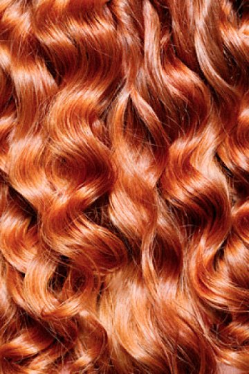 Красива като есенна гора, а не падаща като листа. Снимка: CB